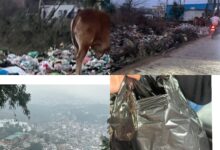 Asar EXCLUSIVE: “प्लास्टिक फ्री हिमाचल” सिर्फ काग़ज़ों में