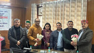 पेरावेट के लिए डिजिटल पहल: HPSEDC ने वेब पोर्टल का लाइव डेमो पेश किया पेरावेट के लिए डिजिटल पहल: HPSEDC ने वेब पोर्टल का लाइव डेमो पेश किया