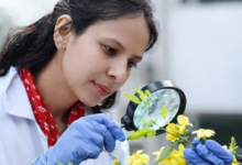 शाबाश : हिमालयी शोध को अंतरराष्ट्रीय पहचान, Dr. Radha चुनी गईं Linnean Society of London की FLS