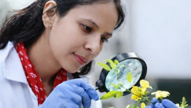 शाबाश : हिमालयी शोध को अंतरराष्ट्रीय पहचान, Dr. Radha चुनी गईं Linnean Society of London की FLS