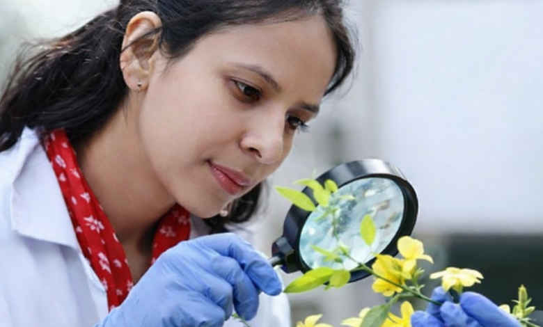 शाबाश : हिमालयी शोध को अंतरराष्ट्रीय पहचान, Dr. Radha चुनी गईं Linnean Society of London की FLS