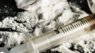 बड़ी खबर: एनडीपीएस मामले में बड़ी कार्रवाई — चार पुलिस कर्मी बर्खास्त, डीजीपी का जीरो टॉलरेंस संदेश