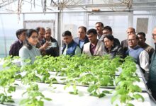 आलू की खेती में एआई के उपयोग से हो रही है सालाना करोड़ों रुपए की बचत आलू की खेती में एआई के उपयोग से हो रही है सालाना करोड़ों रुपए की बचत