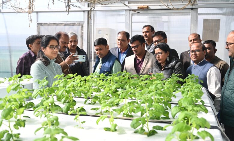 आलू की खेती में एआई के उपयोग से हो रही है सालाना करोड़ों रुपए की बचत
