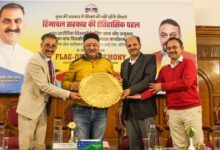 हिमाचल सरकार की बड़ी पहलः शारीरिक शिक्षा शिक्षकों को एनएसएनआईएस- पटियाला में मिलेगा विशेष प्रशिक्षण