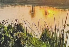 पांगी बना पहला 100% प्राकृतिक खेती सब-डिवीजन