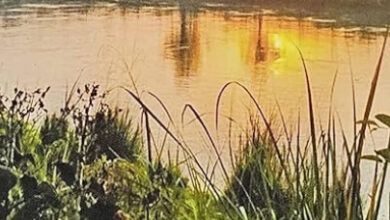 पांगी बना पहला 100% प्राकृतिक खेती सब-डिवीजन