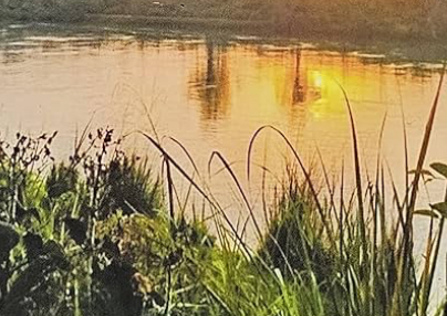 पांगी बना पहला 100% प्राकृतिक खेती सब-डिवीजन