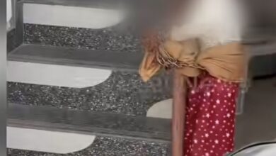 ASAR BREAKING : अमरूद लेने की “सजा” बनी क्रूरता! ऊना में बच्ची से दुर्व्यवहार का वीडियो वायरल, अब FIR