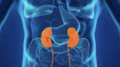 मरीजों पर संकट: निजी डायलिसिस केंद्रों ने 15 अप्रैल तक दी आखिरी चेतावनी मरीजों पर संकट: निजी डायलिसिस केंद्रों ने 15 अप्रैल तक दी आखिरी चेतावनी