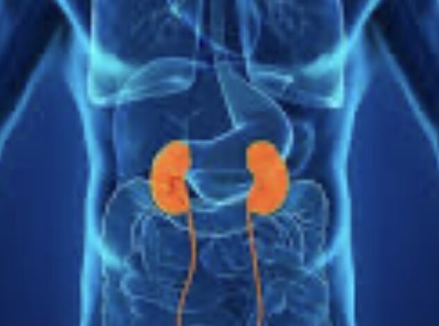 मरीजों पर संकट: निजी डायलिसिस केंद्रों ने 15 अप्रैल तक दी आखिरी चेतावनी