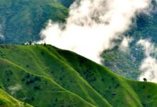 चायल पंचायत का कड़वा सच: वादों की चकाचौंध के पीछे हकीकत