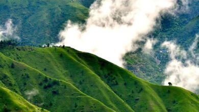 चायल पंचायत का कड़वा सच: वादों की चकाचौंध के पीछे हकीकत