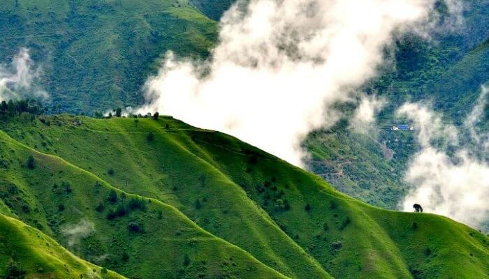चायल पंचायत का कड़वा सच: वादों की चकाचौंध के पीछे हकीकत