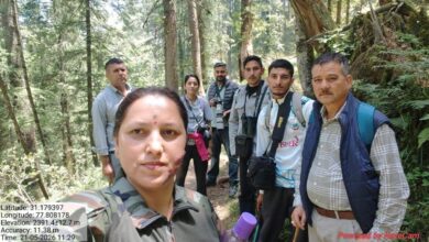 रोहरू में पक्षियों का महाकुंभ: 70 दुर्लभ प्रजातियों ने चौंकाया