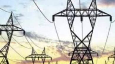 दुःखद: …और कितनी शहादतों का इंतज़ार?”— 150 कर्मचारियों की मौत पर विद्युत बोर्ड प्रबंधन घिरा