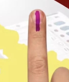 बार काउंसिल चुनाव की स्याही नहीं बनेगी रुकावट, पंचायत चुनाव में भी वोट डाल सकेंगे अधिवक्ता