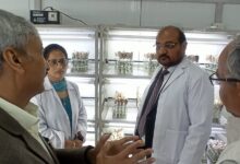 आलू रिसर्च को नई रफ्तार, किसानों के लिए बड़ा प्लान तैयार
