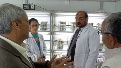 आलू रिसर्च को नई रफ्तार, किसानों के लिए बड़ा प्लान तैयार