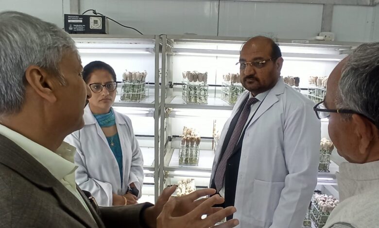 आलू रिसर्च को नई रफ्तार, किसानों के लिए बड़ा प्लान तैयार