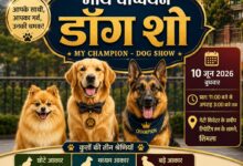 अंतरराष्ट्रीय शिमला ग्रीष्मोत्सव-2026 के अंतर्गत “माय चैंपियन – डॉग शो” का आयोजन 10 जून को