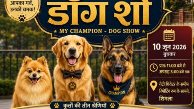 अंतरराष्ट्रीय शिमला ग्रीष्मोत्सव-2026 के अंतर्गत “माय चैंपियन – डॉग शो” का आयोजन 10 जून को