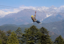 इको-एडवेंचर जिपलाइन ने धर्मशाला पर्यटन में भरा नया रोमांच