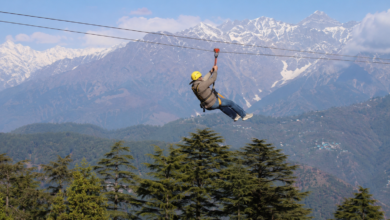 इको-एडवेंचर जिपलाइन ने धर्मशाला पर्यटन में भरा नया रोमांच इको-एडवेंचर जिपलाइन ने धर्मशाला पर्यटन में भरा नया रोमांच