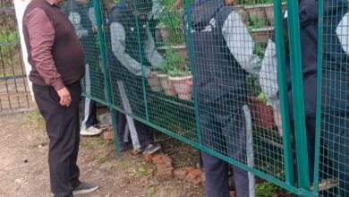 शिमला के कथोग स्कूल में ‘एक पेड़ माँ के नाम’ अभियान, लगाए गए 100 पौधे