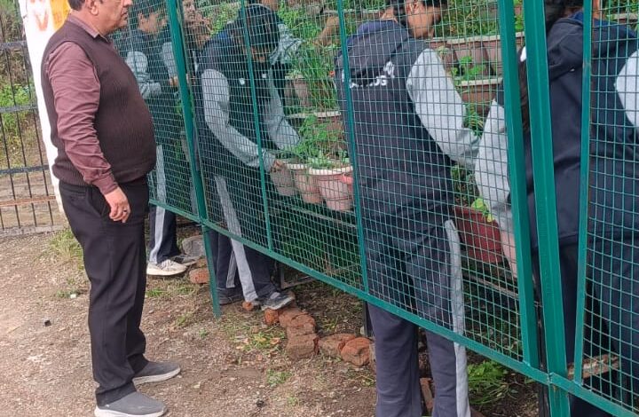 शिमला के कथोग स्कूल में ‘एक पेड़ माँ के नाम’ अभियान, लगाए गए 100 पौधे