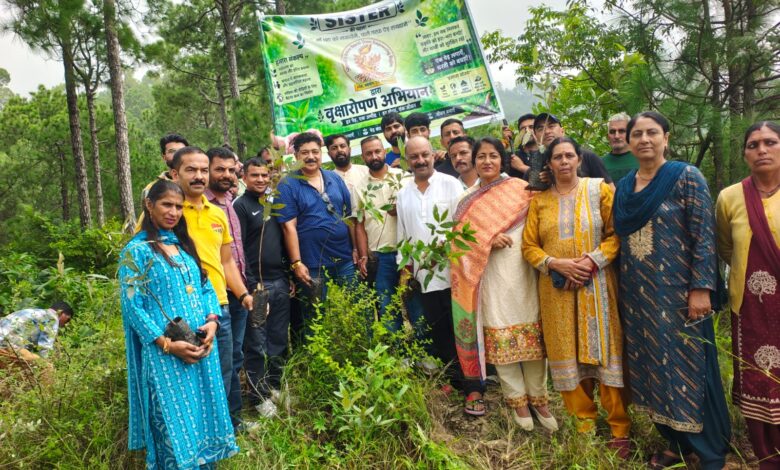 क्वाराग में टीम सिस्टर ने लगाए देवदार और बान के 150 पौधे क्वाराग में टीम सिस्टर ने लगाए देवदार और बान के 150 पौधे