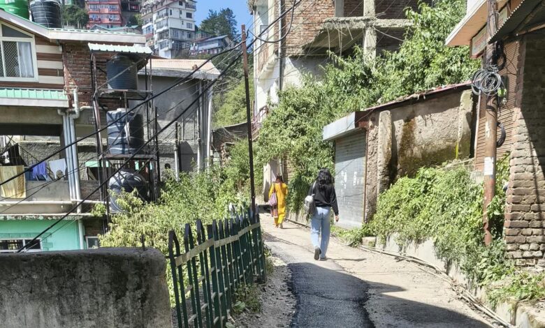 बारिश खत्म होते ही शिमला की प्रभावित सड़कों की मेटलिंग शुरू