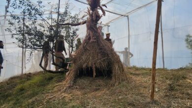चैल से लाए नौ चीर तीतर मोई जुब्बर में छोड़े
